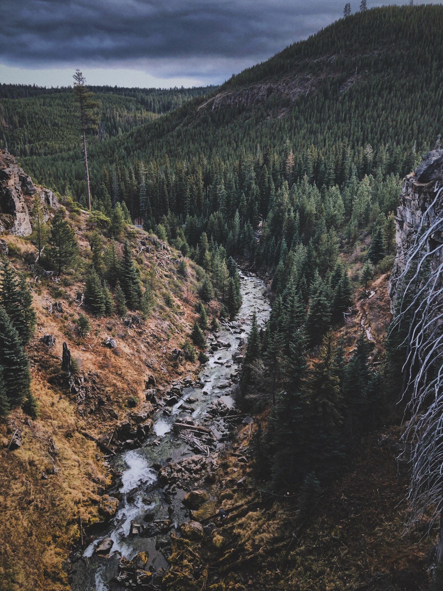 Central Oregon landscape